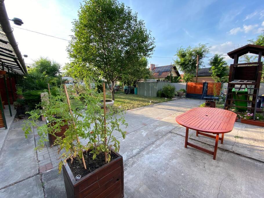 Vasmacska Apartman Appartement